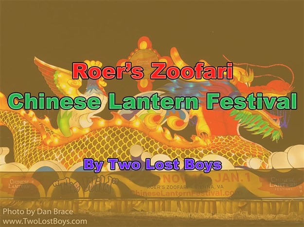 Roer’s Zoofari Chinese Lantern Festival, December 2016